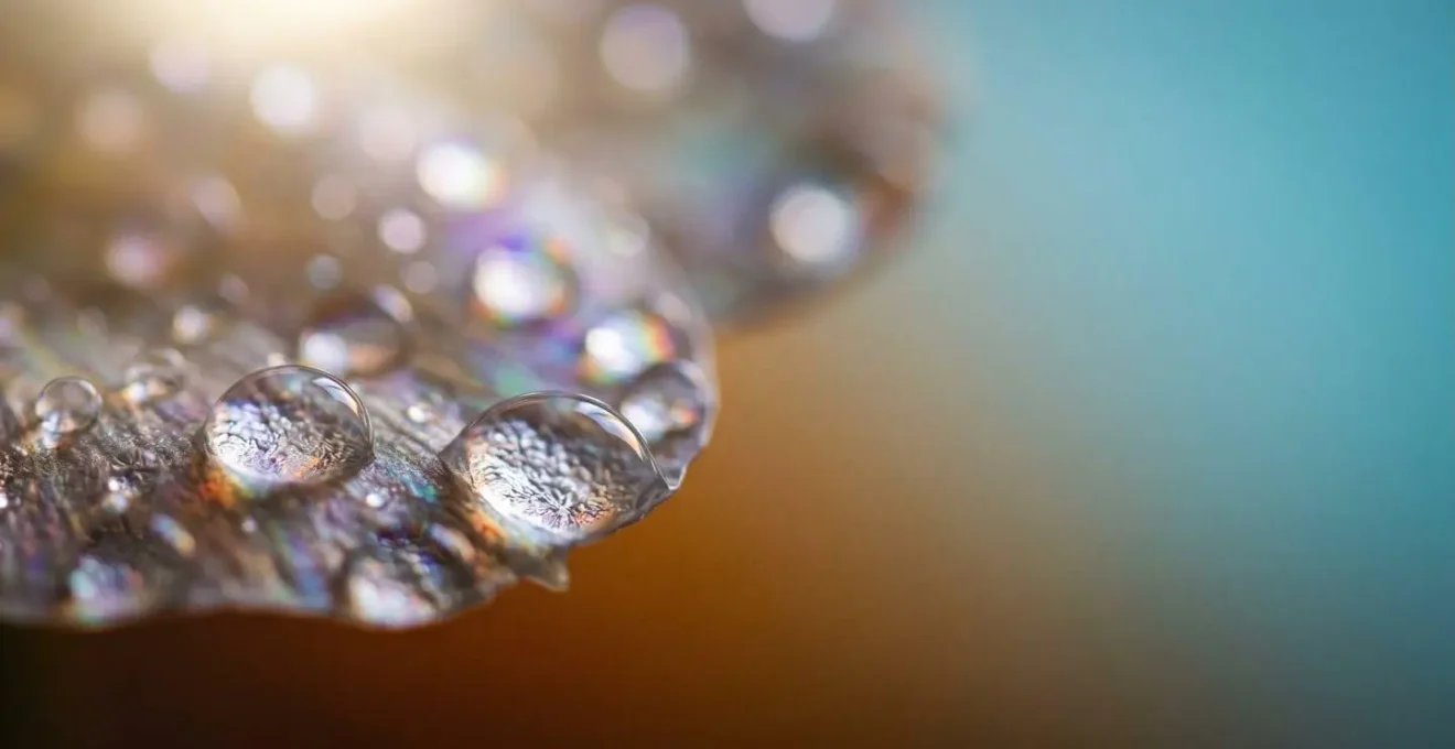 Détail macro de particules lumineuses et textures organiques évoquant l'émotion dans une création numérique immersive